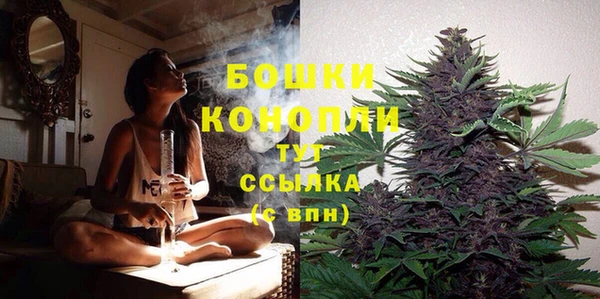 СК Дмитровск