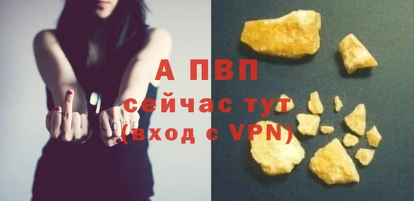 СК Дмитровск