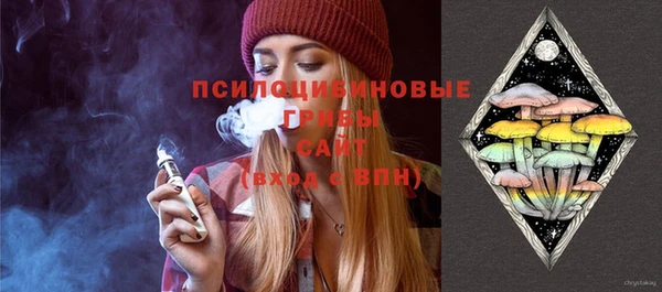 прущая мука Ельня