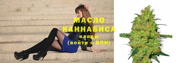 СК Дмитровск