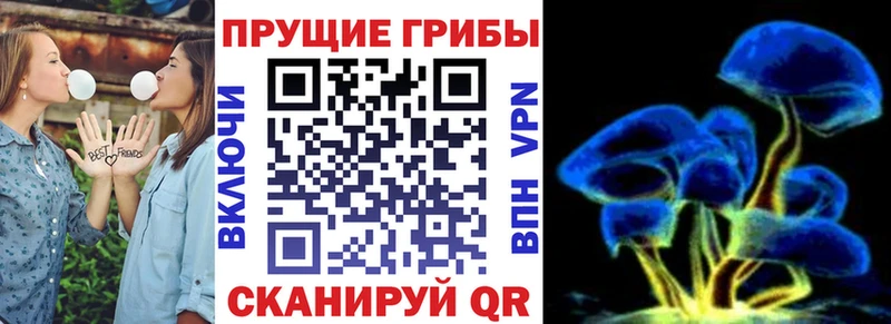 Купить закладки  Струнино  Галлюциногенные грибы Psilocybine cubensis 